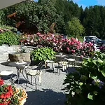 Aster Boutique & 4*