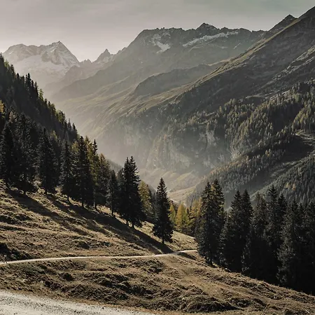 Aster Boutique & Fuegenberg