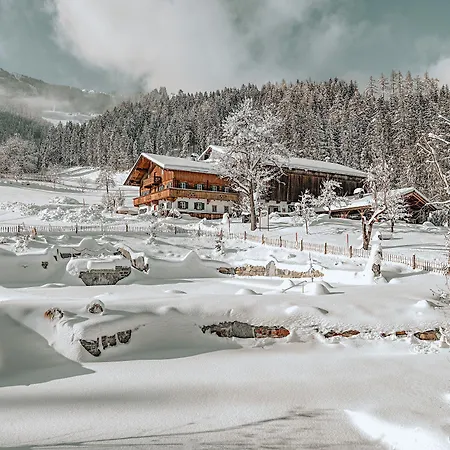 Aster Boutique & Apartahotel