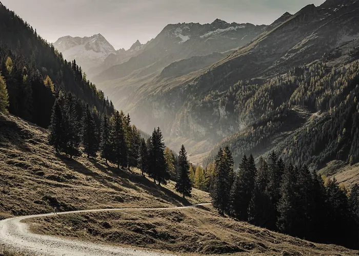 Aster Boutique & フューゲンベルク