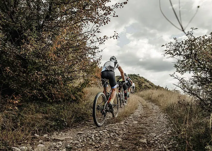 アパートホテル Aster Boutique & フューゲンベルク