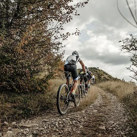 Lägenhetshotell Aster Boutique & Fuegenberg